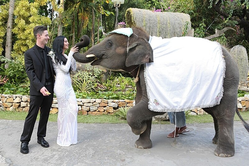 Jacklyn & Alex wedding at Thavorn Beach Villa Resort, Phuket — March 2018 (image 31 of 41)