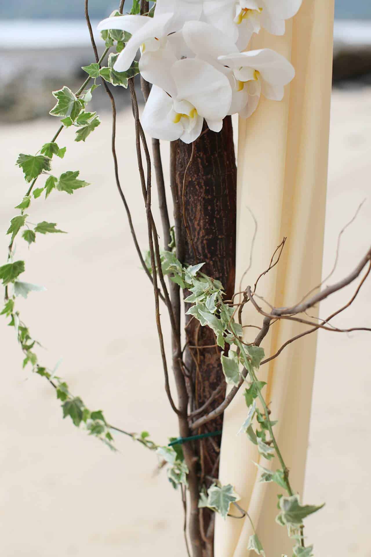 Artishma & Ash wedding at Hua Beach, Phuket — April 2018 (image 26 of 39)